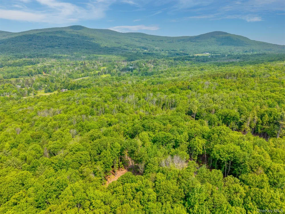 TBD Boulder Brook Lot 11 Road Windham, NY 12496
