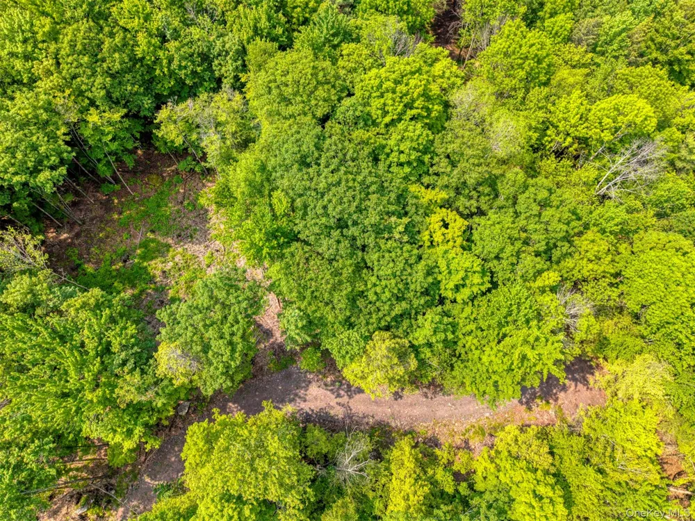 TBD Boulder Brook Lot 11 Road Windham, NY 12496