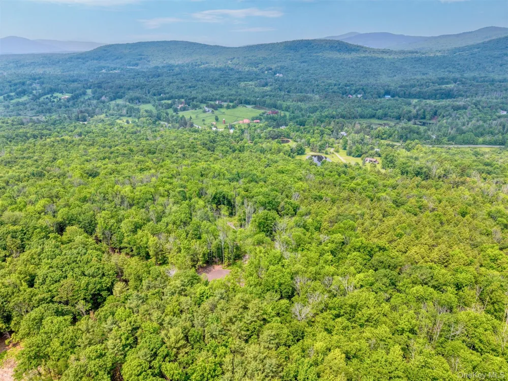 TBD Boulder Brook Lot 11 Road Windham, NY 12496