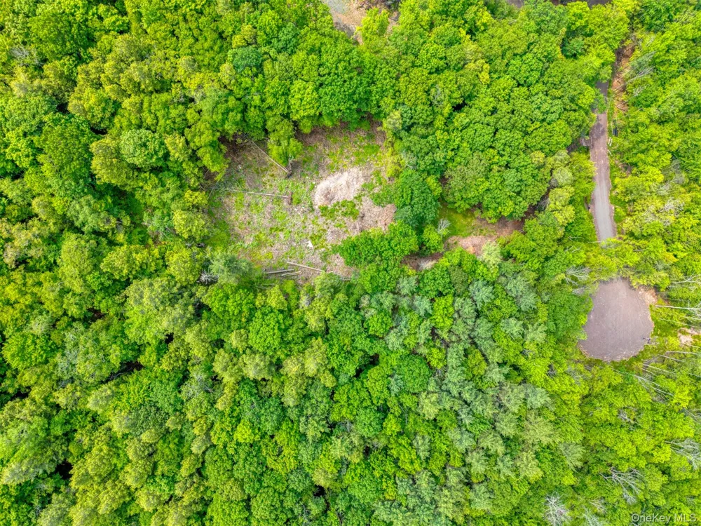 TBD Boulder Brook Lot 11 Road Windham, NY 12496
