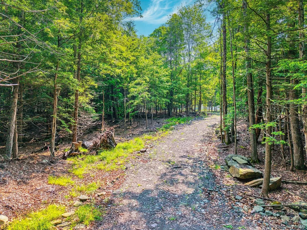 TBD Boulder Brook Lot 11 Road Windham, NY 12496