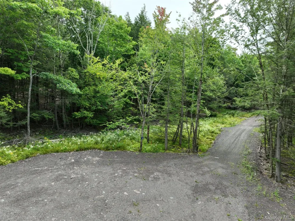 TBD Boulder Brook Lot 11 Road Windham, NY 12496