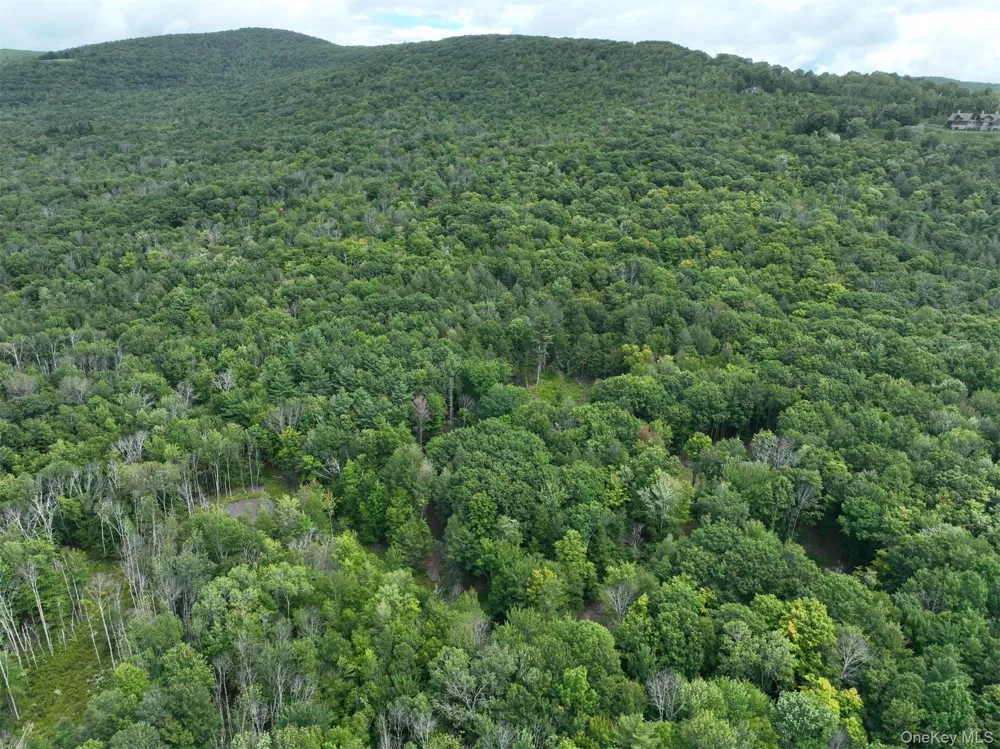 TBD Boulder Brook Lot 11 Road Windham, NY 12496