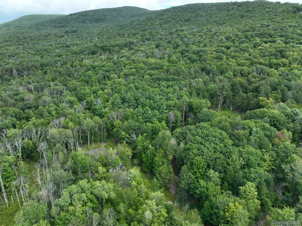 TBD Boulder Brook Lot 11 Road Windham, NY 12496