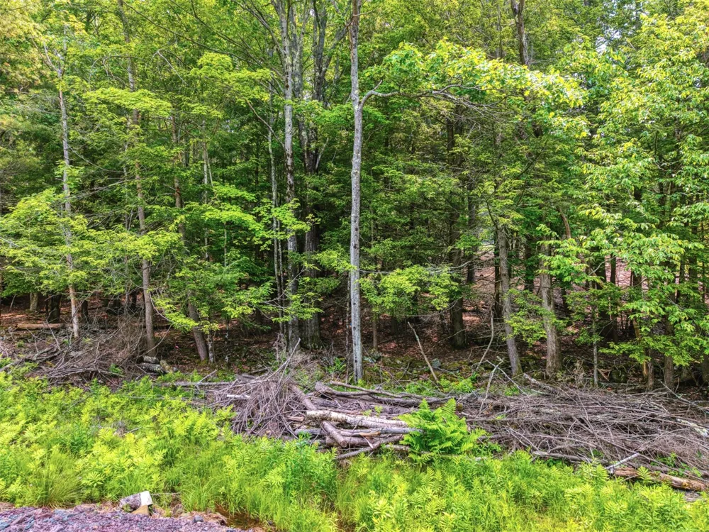 TBD Boulder Brook lot 13B Road Windham, NY 12496