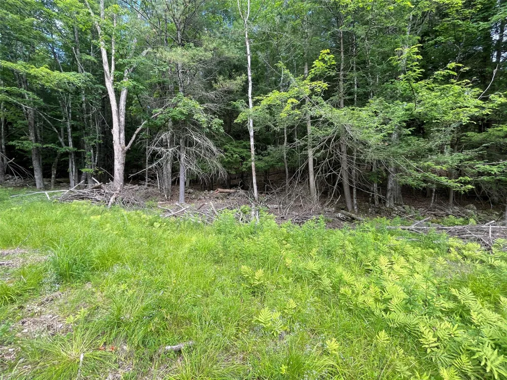 TBD Boulder Brook lot 13B Road Windham, NY 12496