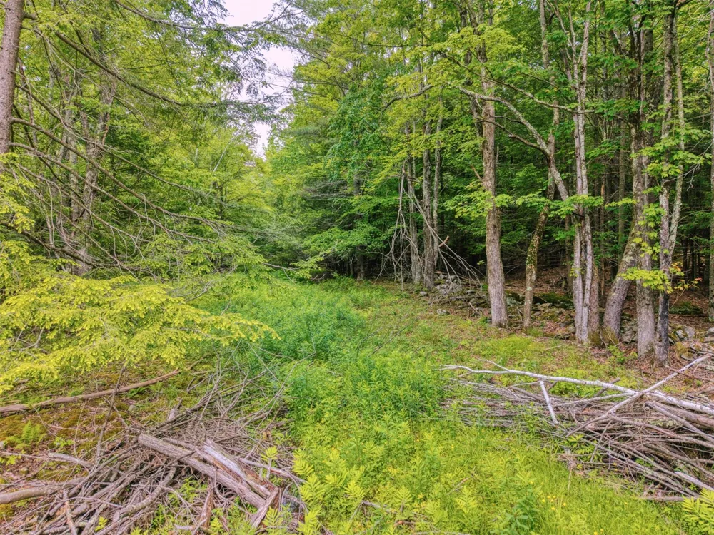 TBD Boulder Brook lot 13B Road Windham, NY 12496