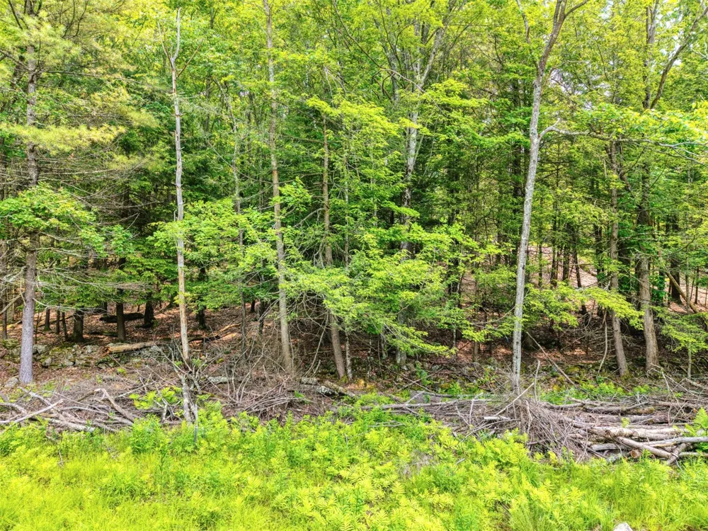 TBD Boulder Brook lot 13B Road Windham, NY 12496