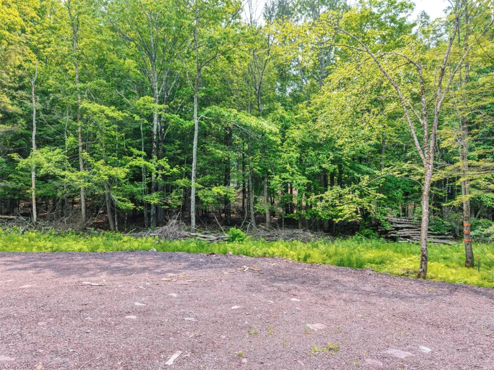 TBD Boulder Brook lot 13B Road Windham, NY 12496