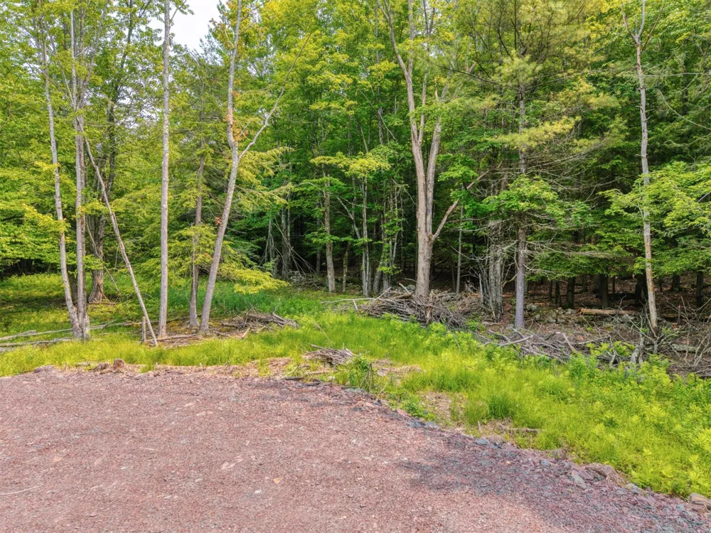 TBD Boulder Brook lot 13B Road Windham, NY 12496