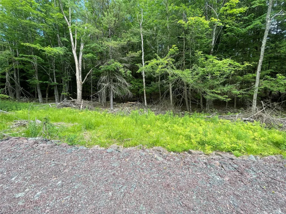 TBD Boulder Brook lot 13B Road Windham, NY 12496