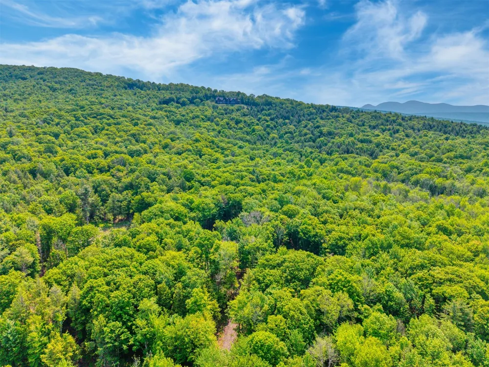 TBD Boulder Brook lot 13B Road Windham, NY 12496