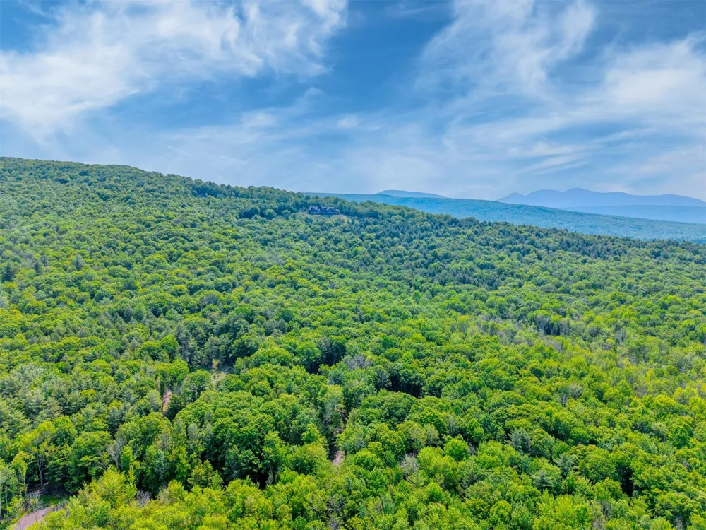 TBD Boulder Brook lot 13B Road Windham, NY 12496