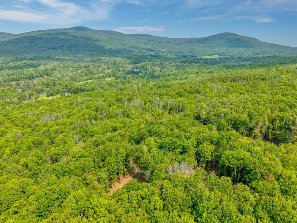 TBD Boulder Brook lot 13B Road Windham, NY 12496