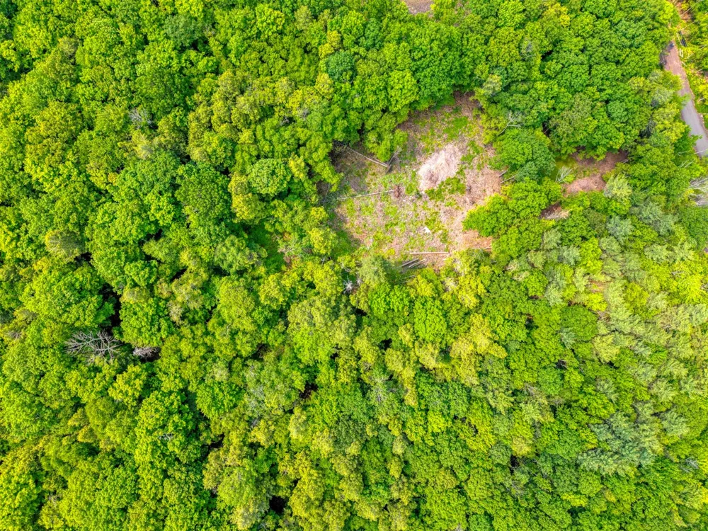 TBD Boulder Brook lot 13B Road Windham, NY 12496