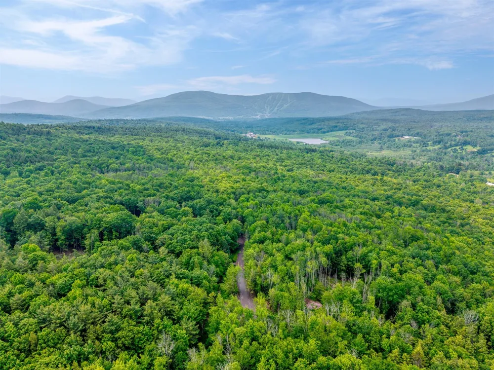 TBD Boulder Brook lot 13B Road Windham, NY 12496