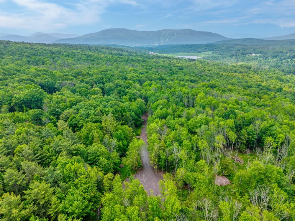 TBD Boulder Brook lot 13B Road Windham, NY 12496