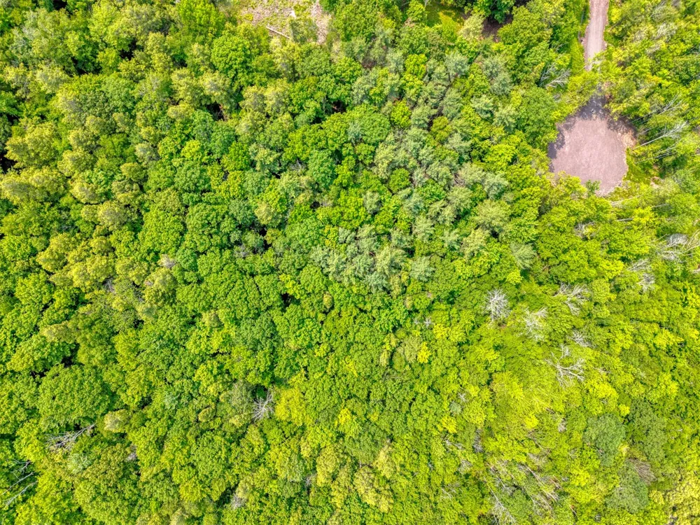 TBD Boulder Brook lot 13B Road Windham, NY 12496