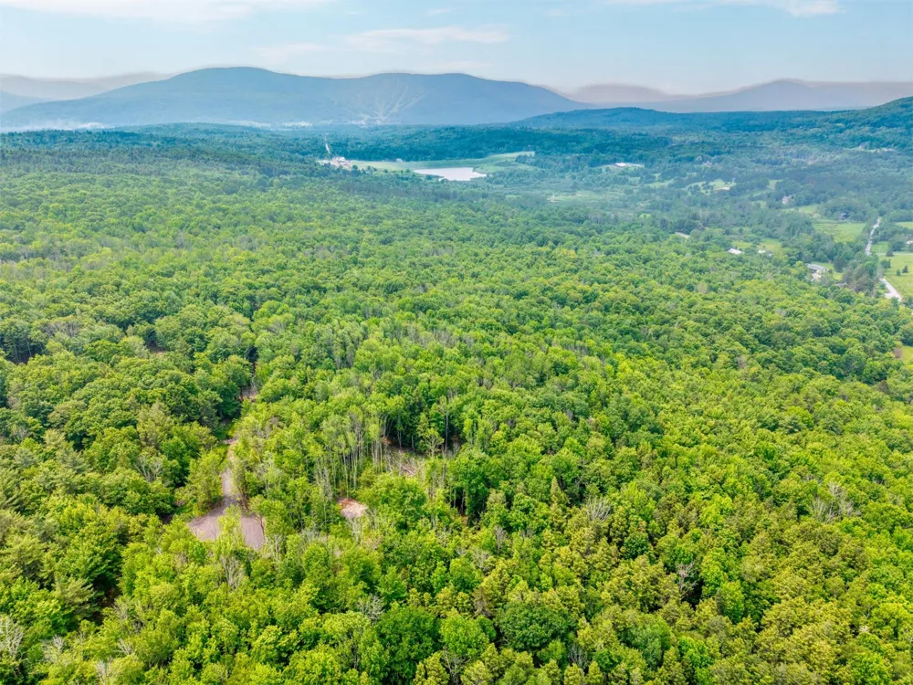 TBD Boulder Brook lot 13B Road Windham, NY 12496