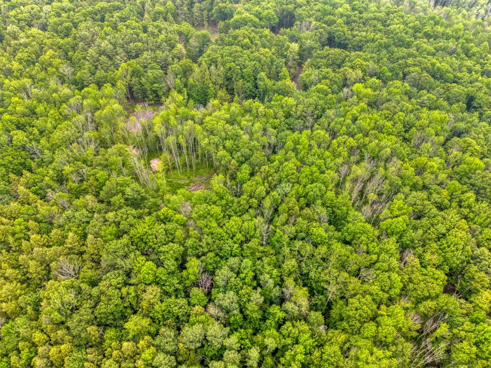 TBD Boulder Brook lot 13B Road Windham, NY 12496
