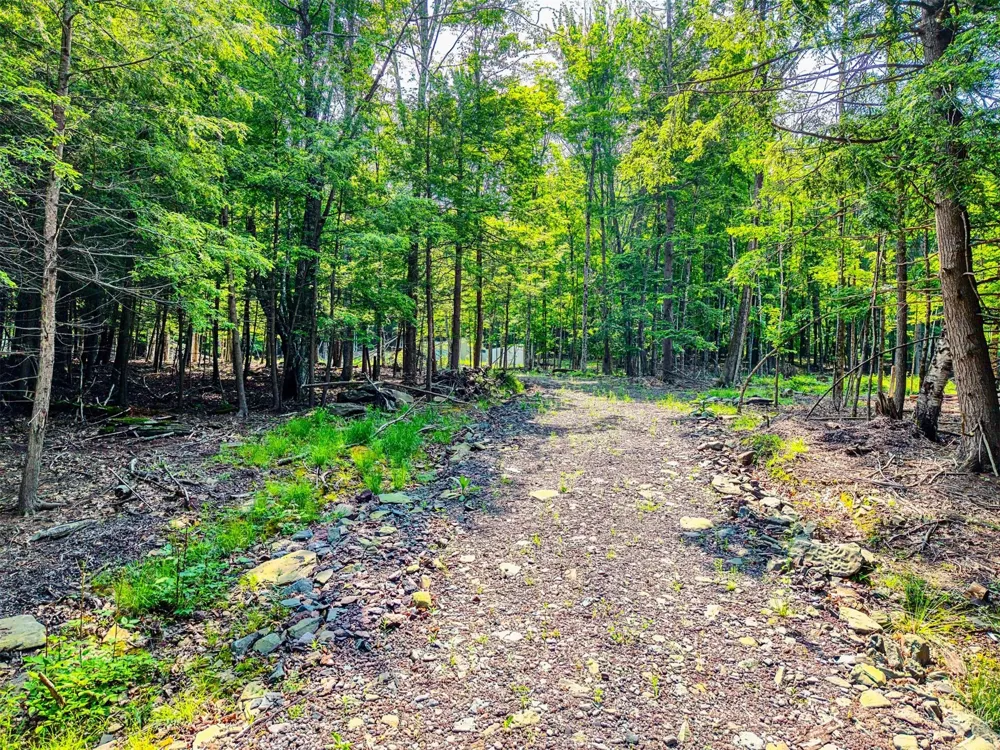 TBD Boulder Brook lot 13B Road Windham, NY 12496