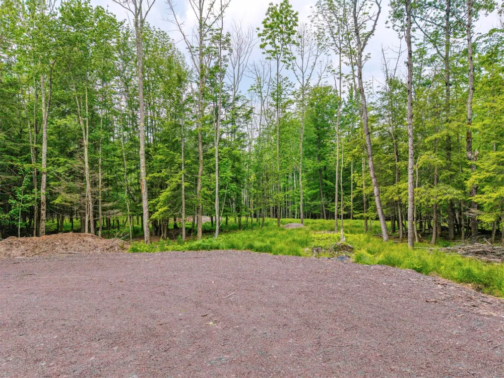 TBD Boulder Brook lot 13B Road Windham, NY 12496