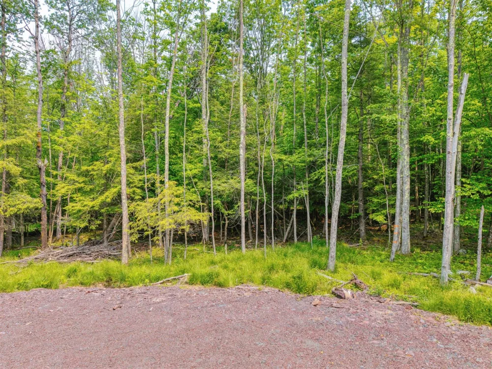 TBD Boulder Brook lot 13B Road Windham, NY 12496