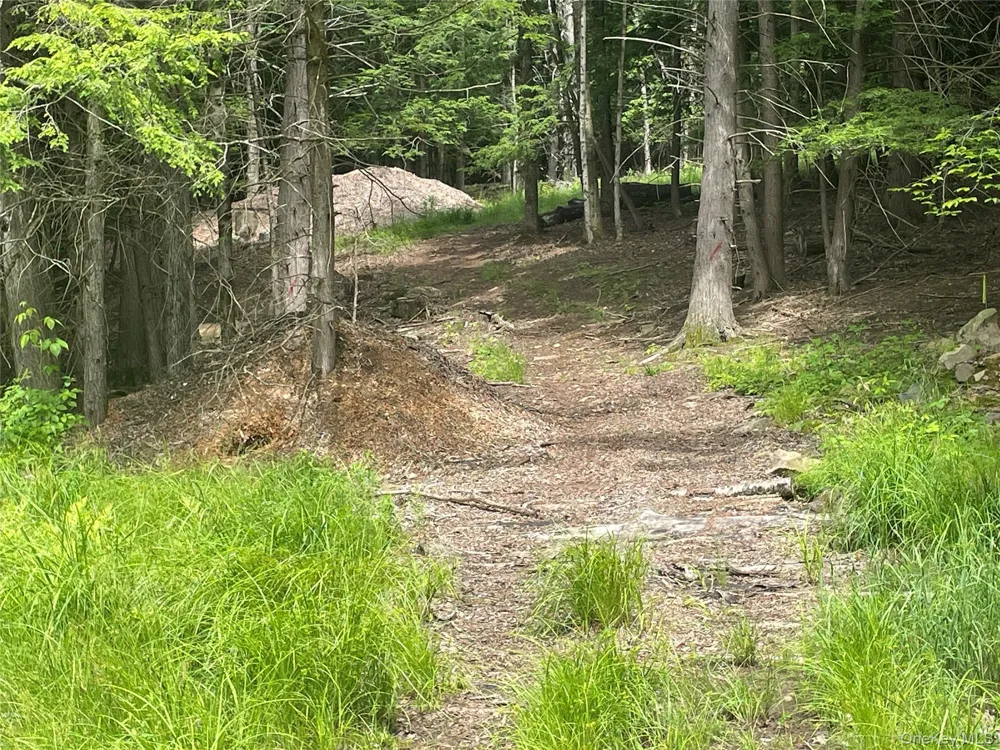 TBD Boulder Brook lot B12 Road Windham, NY 12496