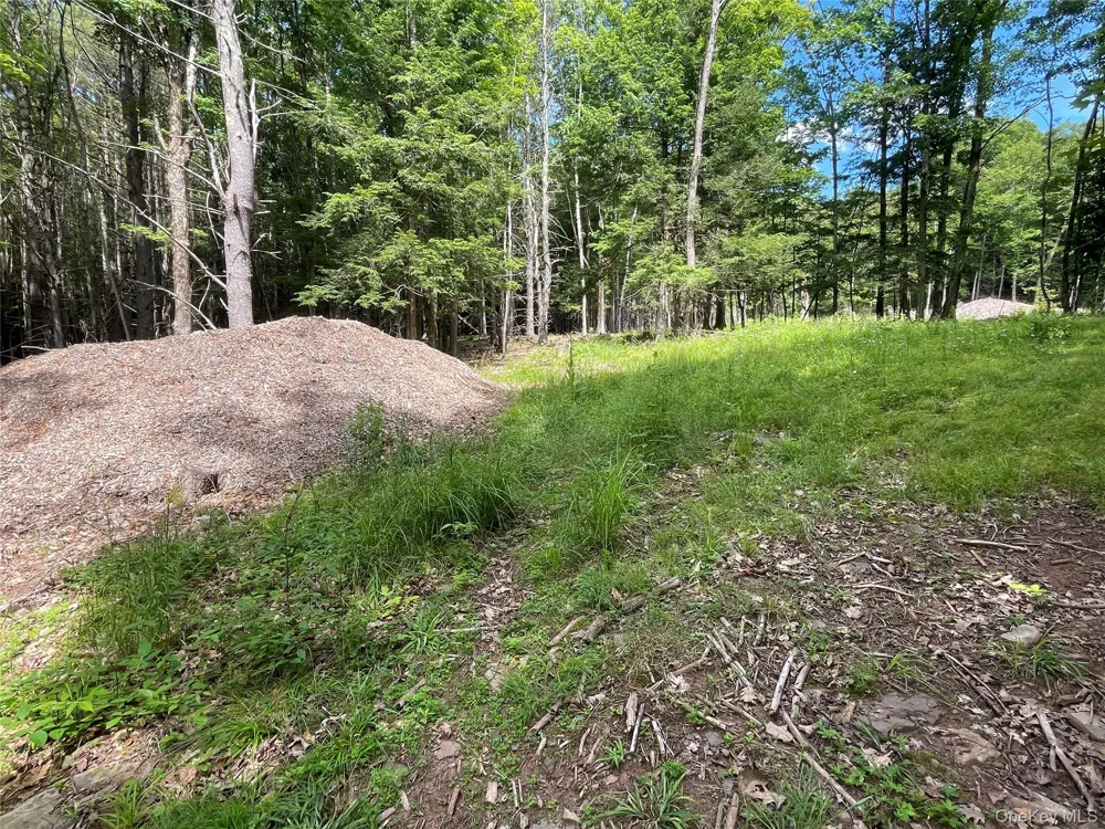 TBD Boulder Brook lot B12 Road Windham, NY 12496