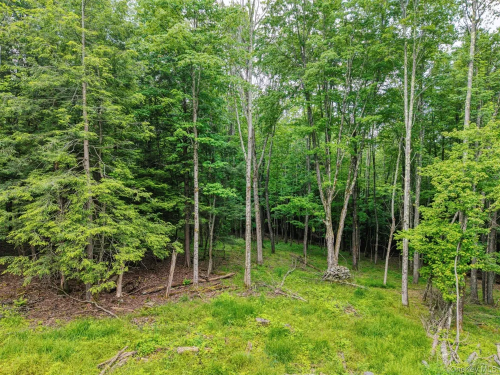 TBD Boulder Brook lot B12 Road Windham, NY 12496