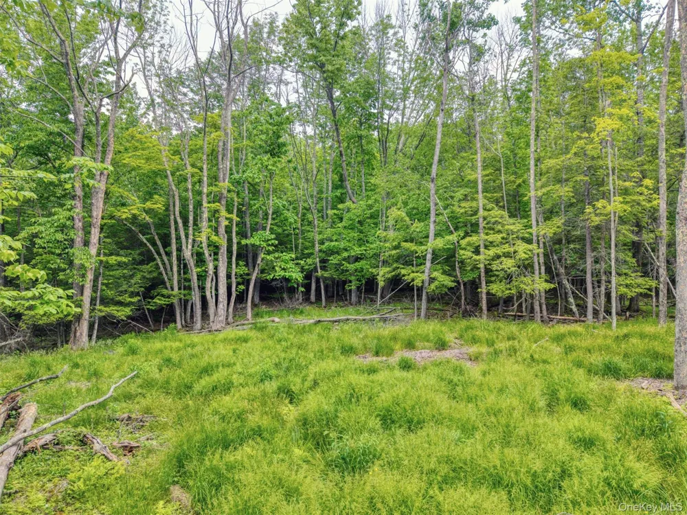 TBD Boulder Brook lot B12 Road Windham, NY 12496