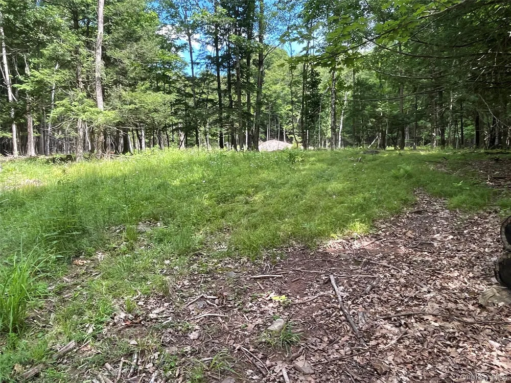 TBD Boulder Brook lot B12 Road Windham, NY 12496
