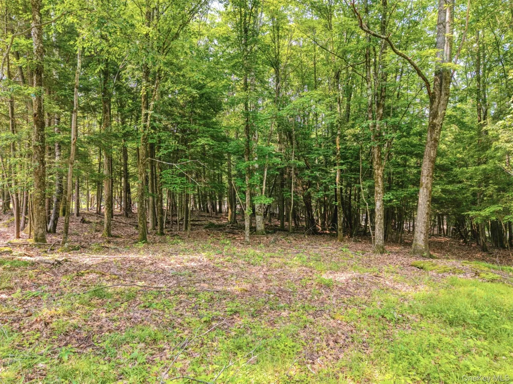 TBD Boulder Brook lot B12 Road Windham, NY 12496