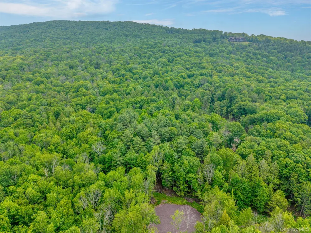 TBD Boulder Brook lot B12 Road Windham, NY 12496