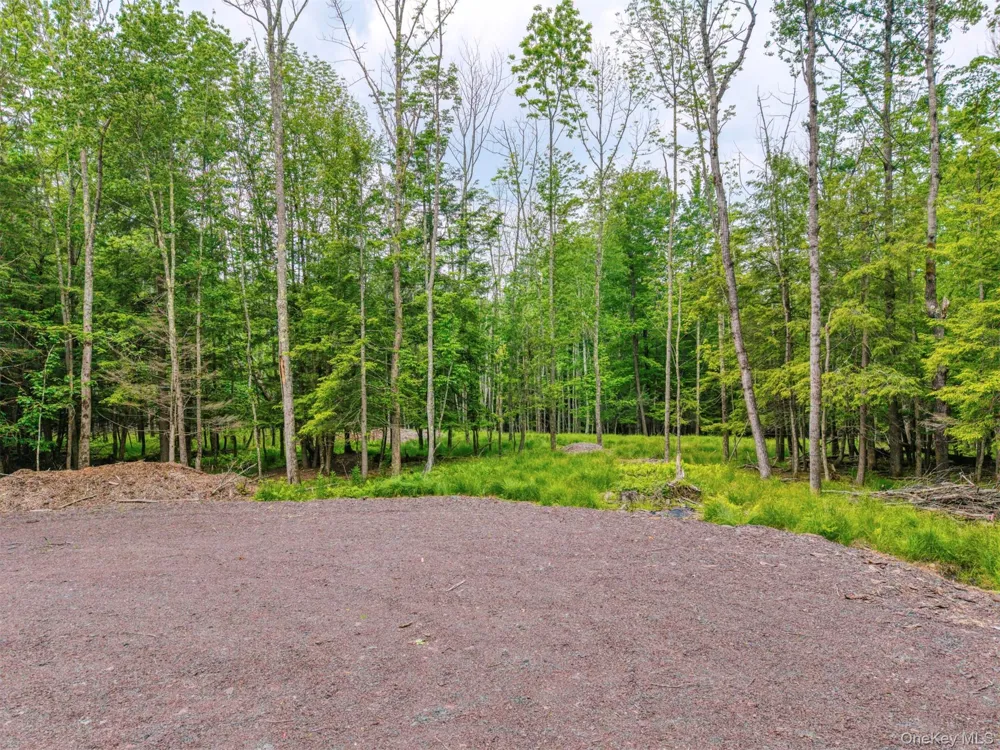 TBD Boulder Brook lot B12 Road Windham, NY 12496