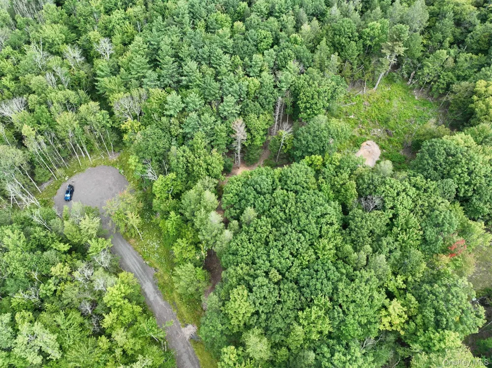 TBD Boulder Brook lot B12 Road Windham, NY 12496