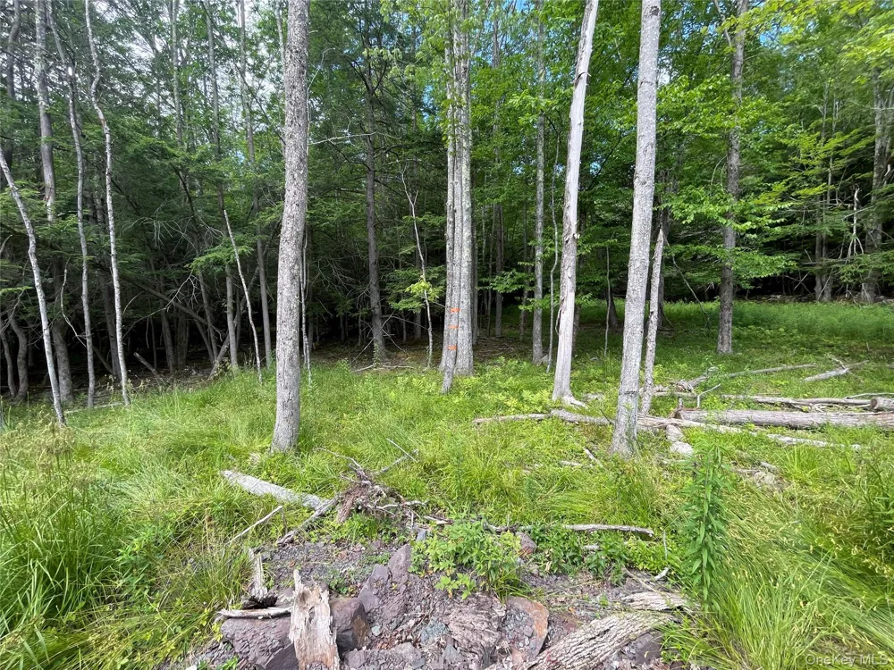 TBD Boulder Brook lot B14 Road Windham, NY 12496
