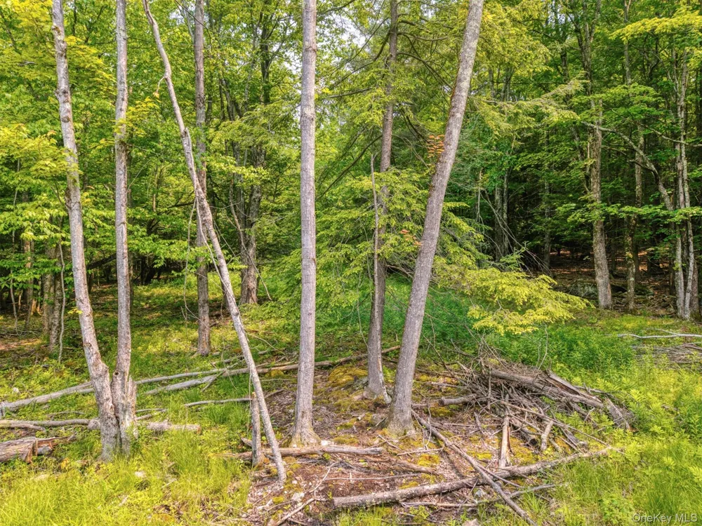 TBD Boulder Brook lot B14 Road Windham, NY 12496