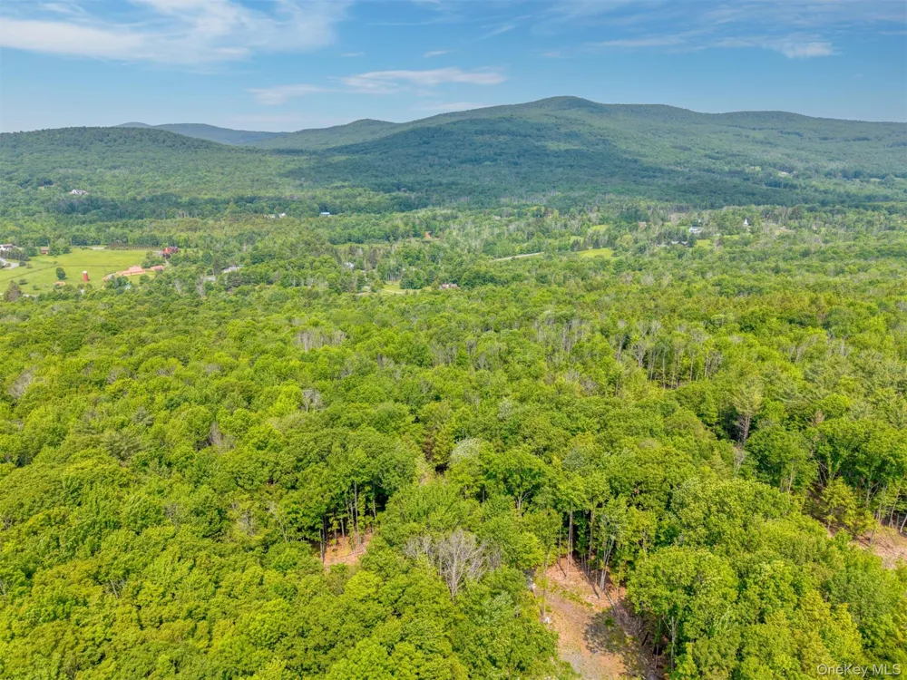 TBD Boulder Brook lot B14 Road Windham, NY 12496