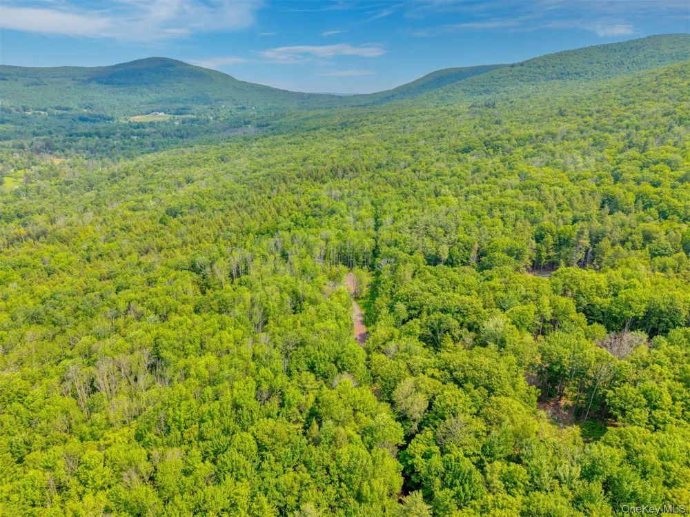 TBD Boulder Brook lot B14 Road Windham, NY 12496