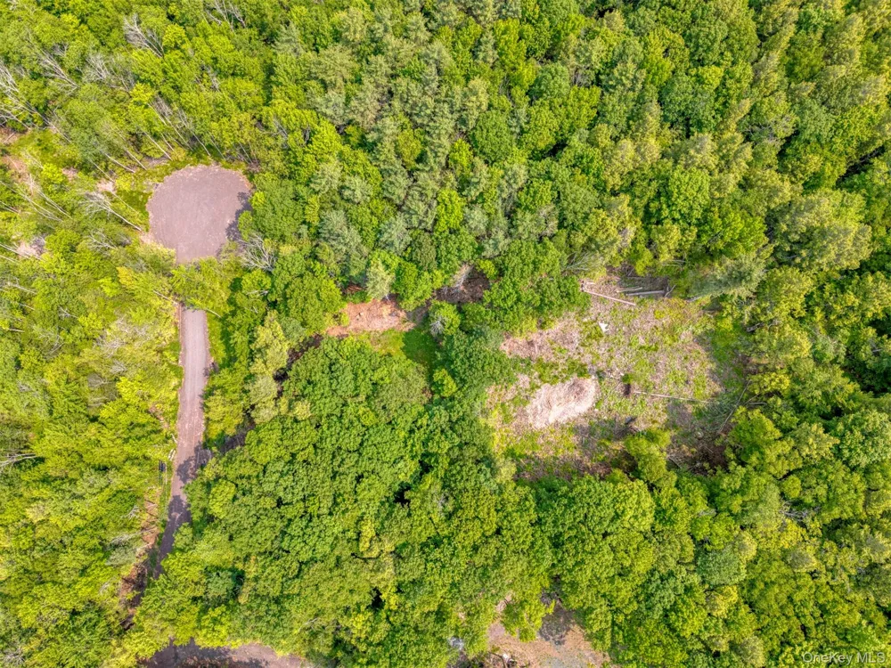 TBD Boulder Brook lot B14 Road Windham, NY 12496