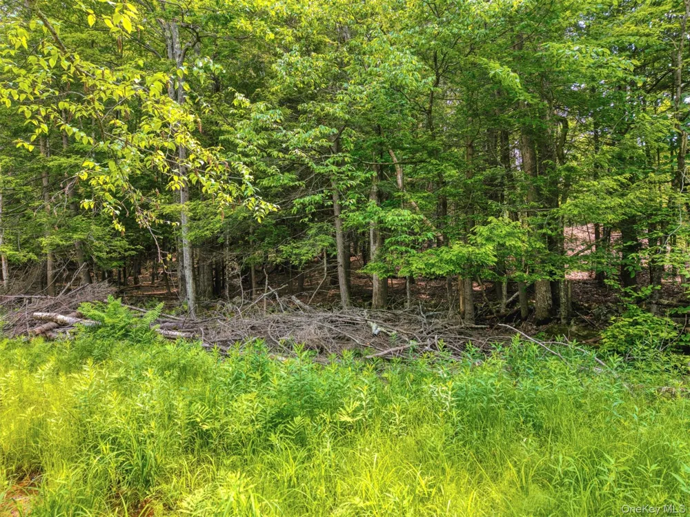 TBD Boulder Brook lot B14 Road Windham, NY 12496