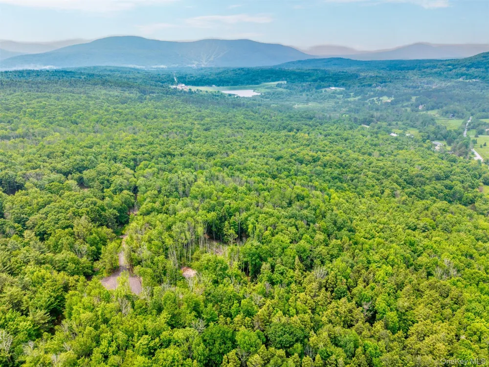 TBD Boulder Brook lot B14 Road Windham, NY 12496