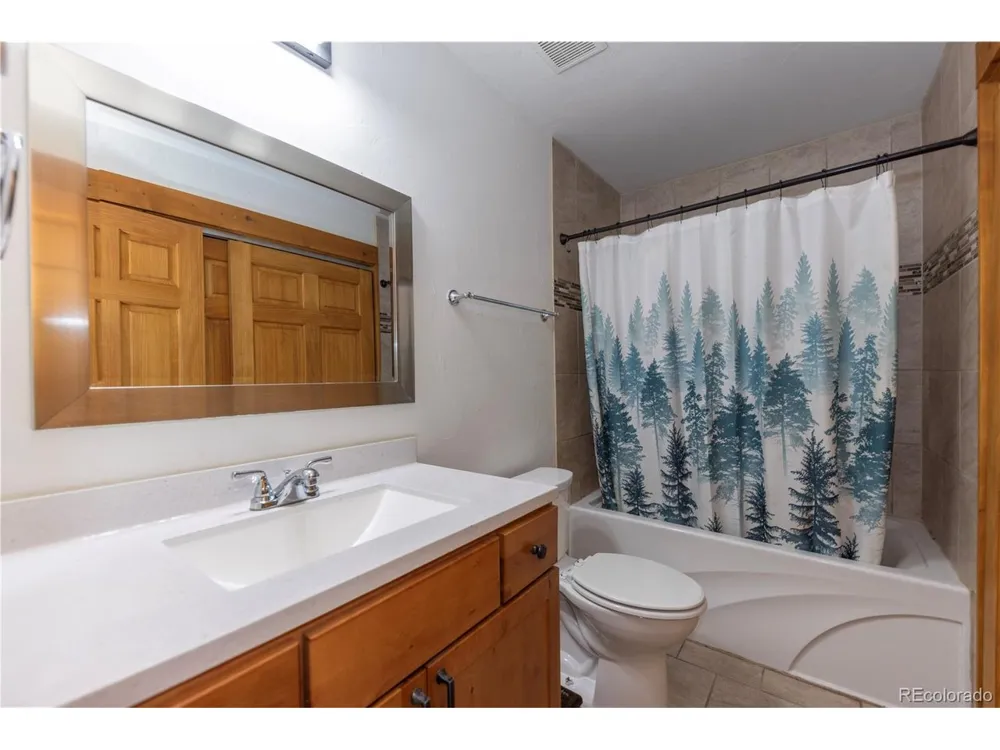 1034 Venture Road Fairplay, CO 80440