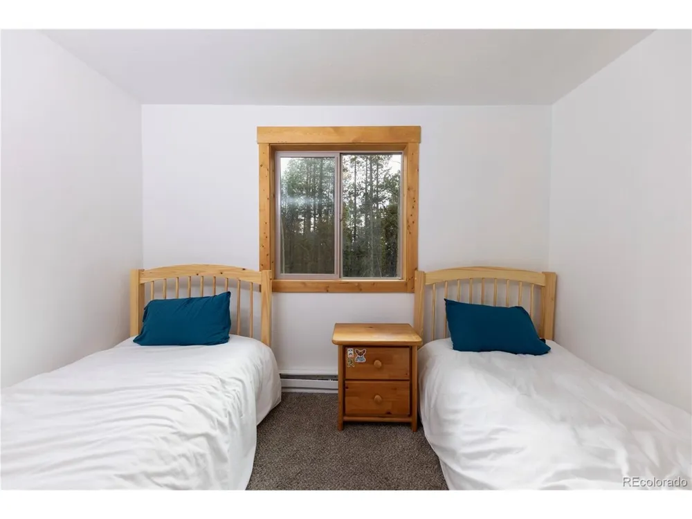 1034 Venture Road Fairplay, CO 80440