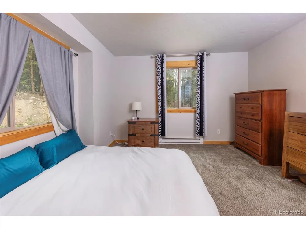 1034 Venture Road Fairplay, CO 80440