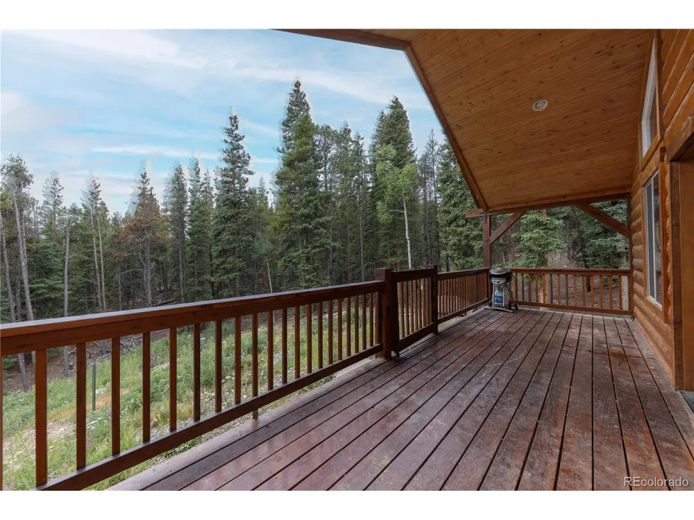 1034 Venture Road Fairplay, CO 80440