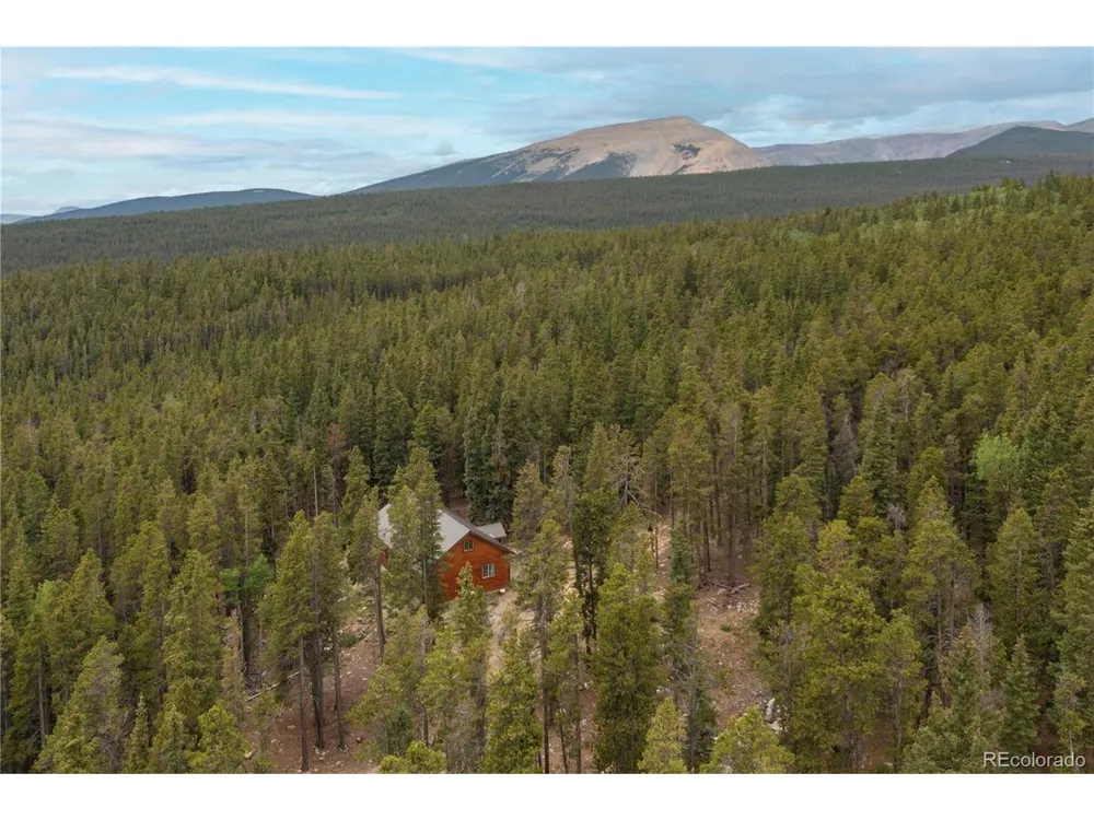 1034 Venture Road Fairplay, CO 80440