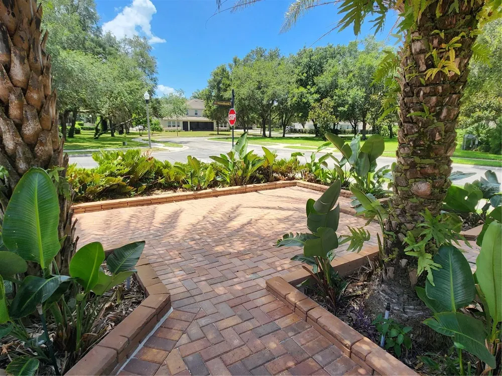 2461 WOODBARK STREET Apopka, FL 32712