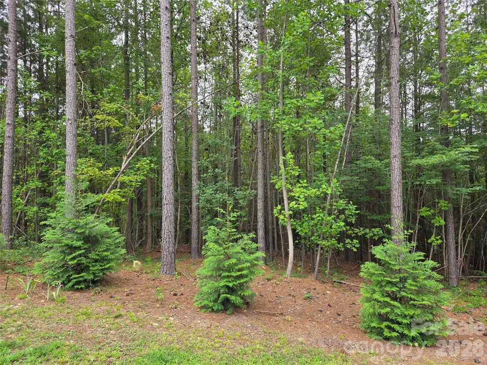 2910 Nc Highway 109 Highway Troy, NC 27371